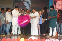 Prabhanjanam Audio Launch
